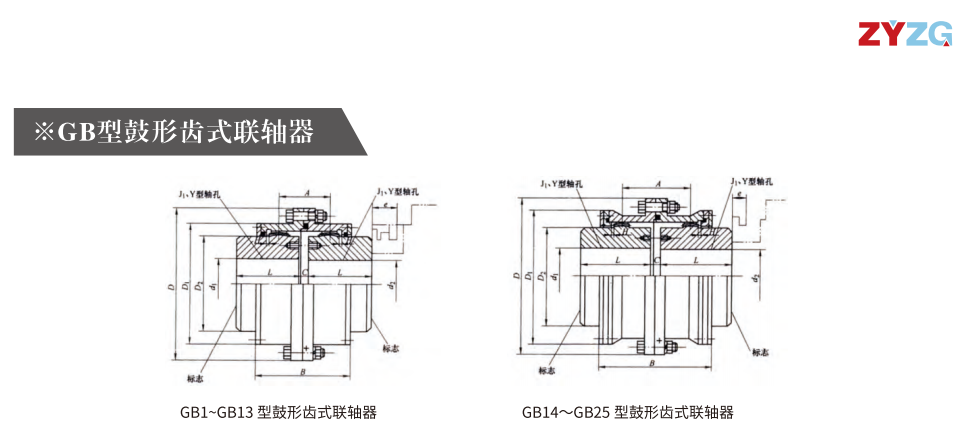 GB   型鼓形齿式丝瓜网站在线观看