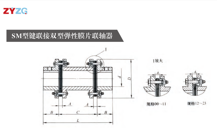 SM型键连接双型弹性膜片丝瓜网站在线观看